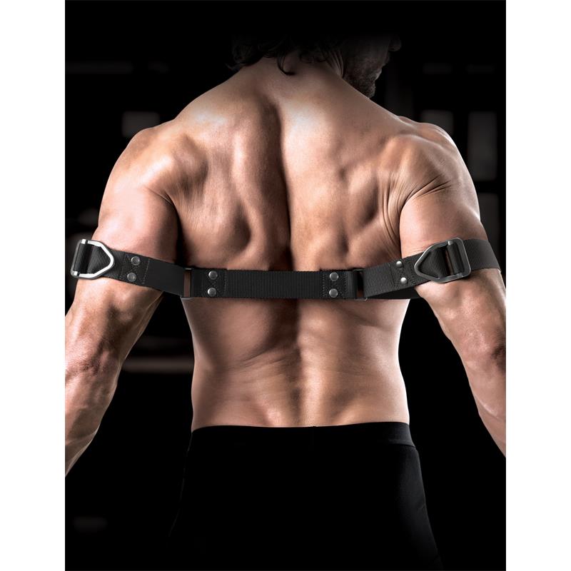 Correas para Biceps