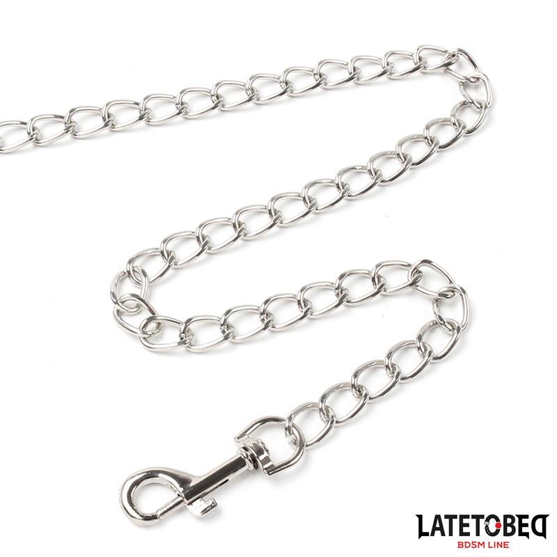 Collar con Correa Acolchado